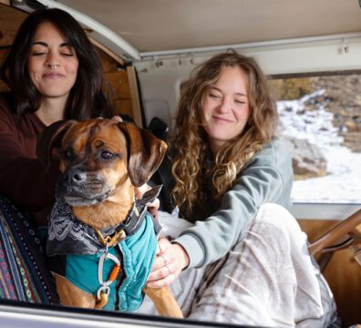 Cuidados pet-friendly em viagens