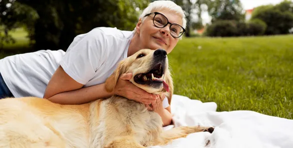 cuidados com a saúde de pets idosos