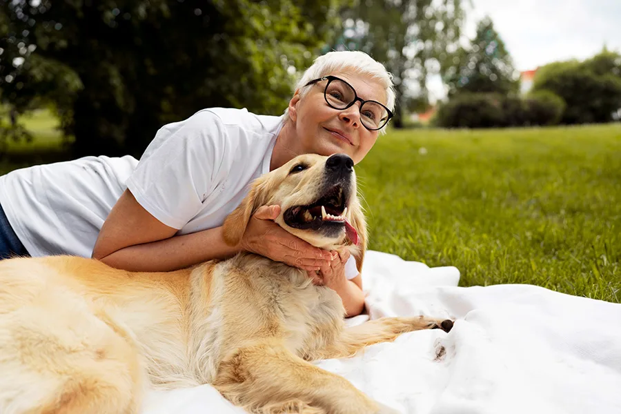 cuidados com a saúde de pets idosos